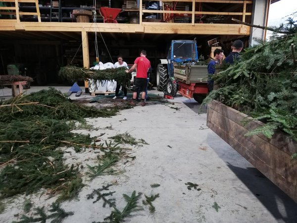 Maibaumaufstellen - Kranzbinden