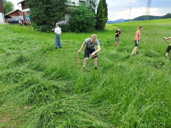 Sensenmähen - Workshop