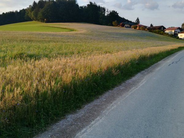 Erntedank Vorbereitungen 1