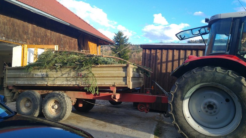 Maibaum Vorbereitung 2018